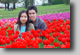 Tulip Farm Festival